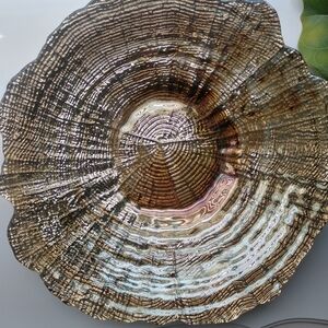 Pier 1 Iridescent Glass Bowl in Brown and Gold